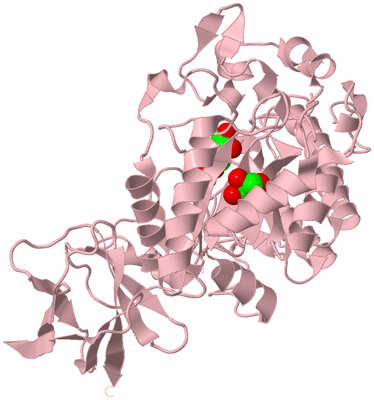 Image Biological Unit 3