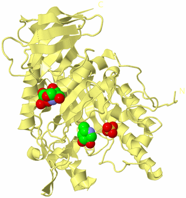 Image Biological Unit 4