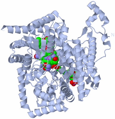 Image Biological Unit 1