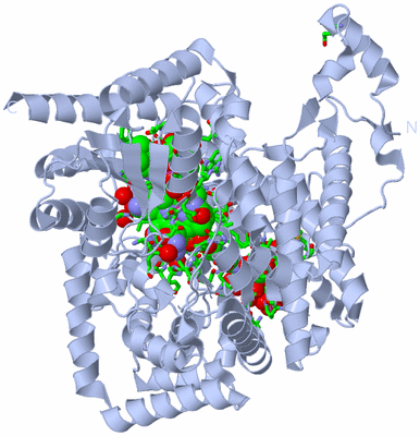 Image Biol. Unit 1 - sites