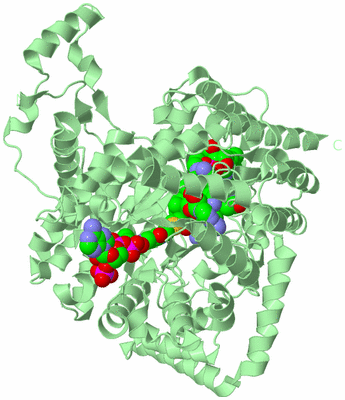 Image Biological Unit 2