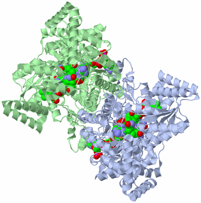 Image Biological Unit 3