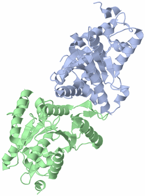 Image Asym./Biol. Unit