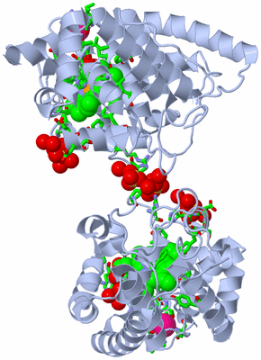 Image Biol. Unit 1 - sites