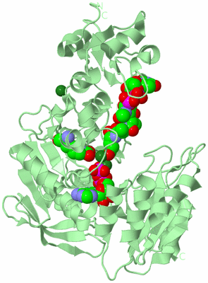 Image Biological Unit 2