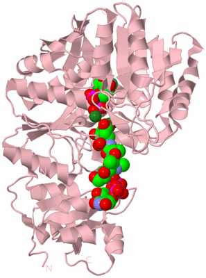 Image Biological Unit 3