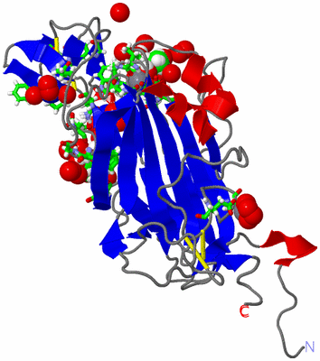 Image Asym./Biol. Unit - sites