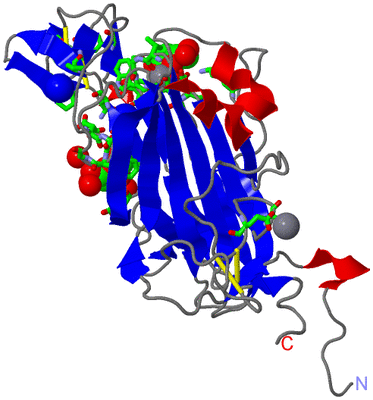 Image Asym./Biol. Unit - sites