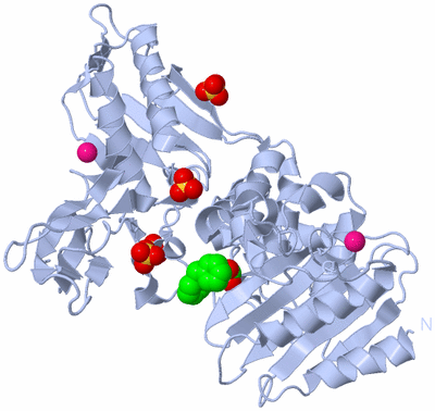 Image Biological Unit 1