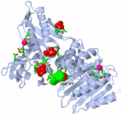 Image Biol. Unit 1 - sites