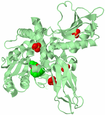 Image Biological Unit 2