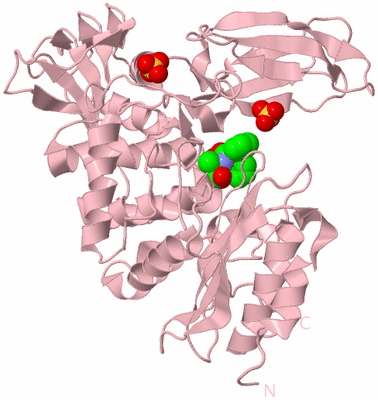 Image Biological Unit 3