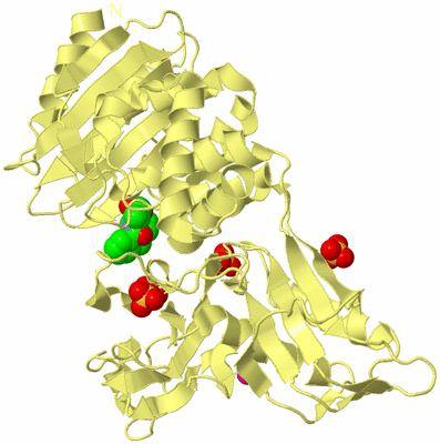 Image Biological Unit 4