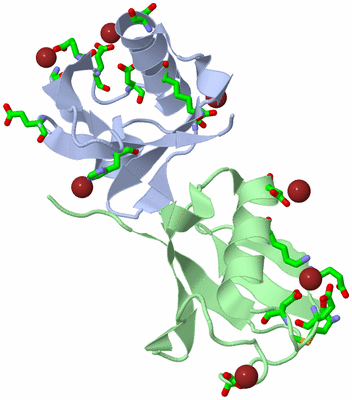 Image Asym./Biol. Unit - sites