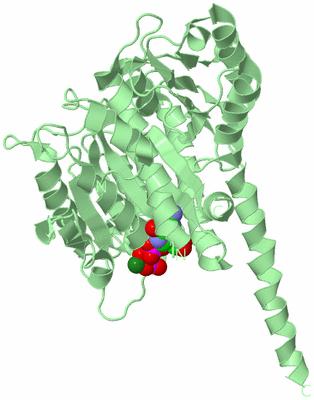 Image Biological Unit 2