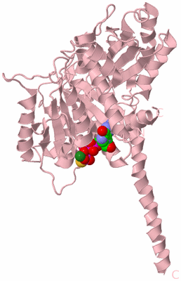 Image Biological Unit 3