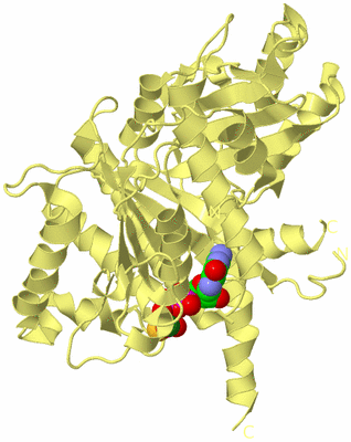 Image Biological Unit 4