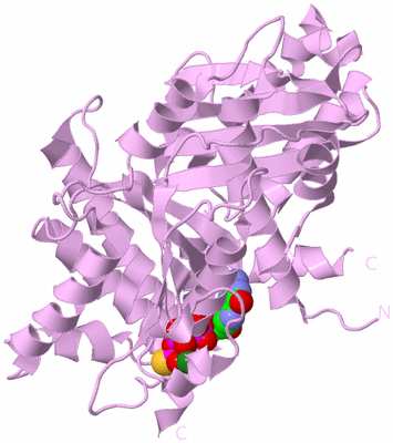 Image Biological Unit 5