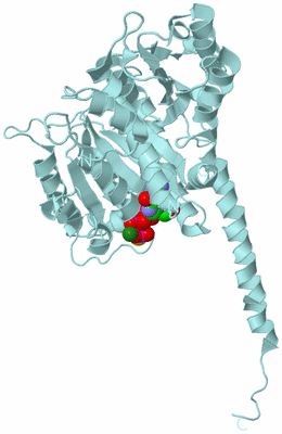 Image Biological Unit 6