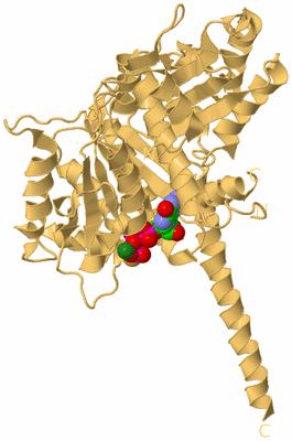 Image Biological Unit 7