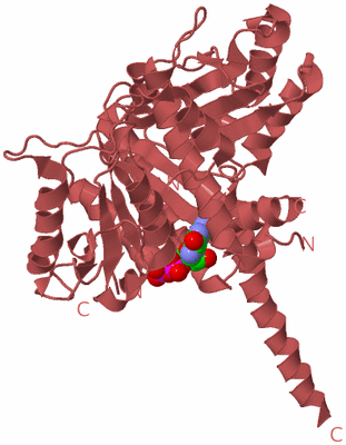 Image Biological Unit 10