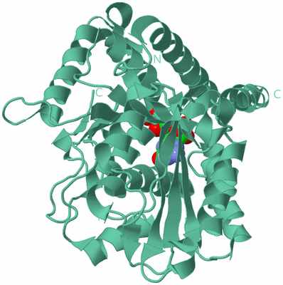 Image Biological Unit 11