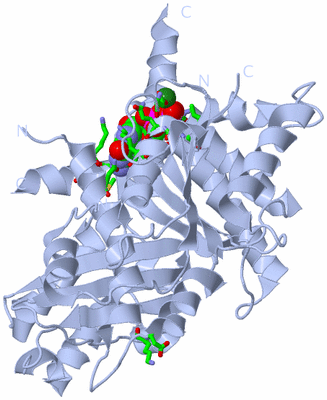 Image Biol. Unit 1 - sites