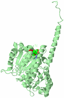 Image Biological Unit 2