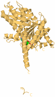 Image Biological Unit 3