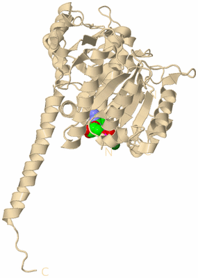 Image Biological Unit 4