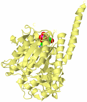 Image Biological Unit 6