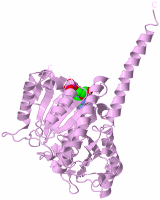 Image Biological Unit 7