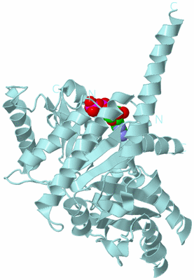 Image Biological Unit 8