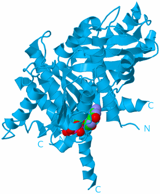 Image Biological Unit 9