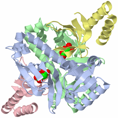 Image Asym./Biol. Unit