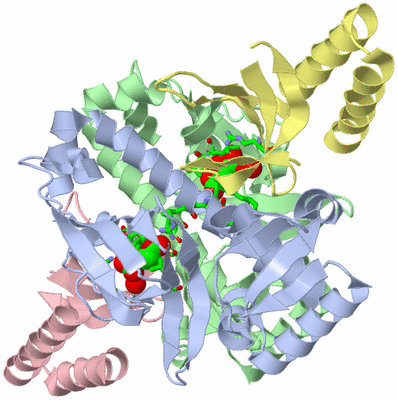 Image Asym./Biol. Unit - sites