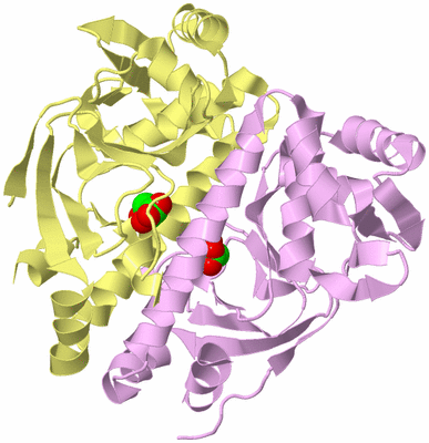 Image Biological Unit 2