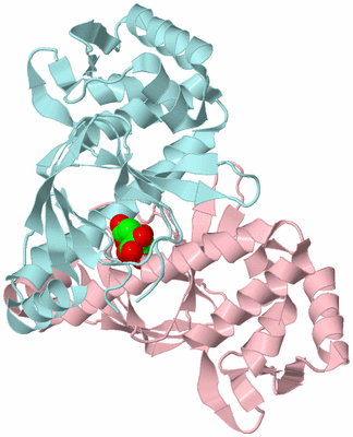 Image Biological Unit 3