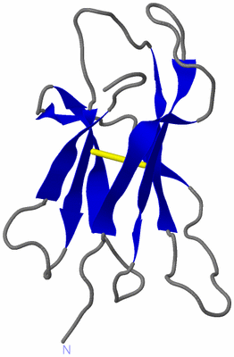 Image NMR Structure - model 1