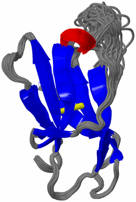 Image NMR Structure - all models