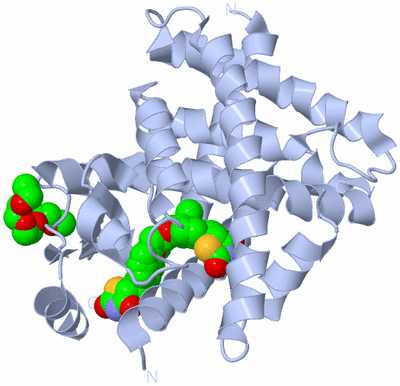 Image Biological Unit 1