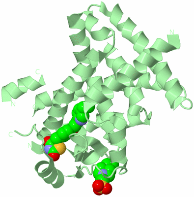 Image Biological Unit 2