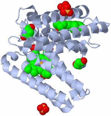 Image Biological Unit 1