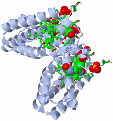 Image Biol. Unit 1 - sites