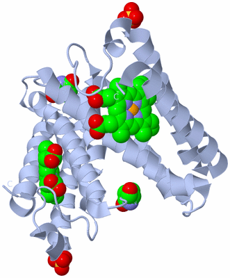 Image Biological Unit 1