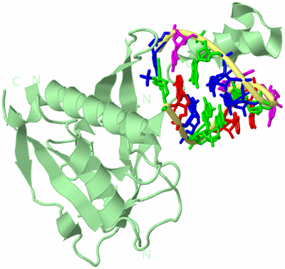 Image Biological Unit 1