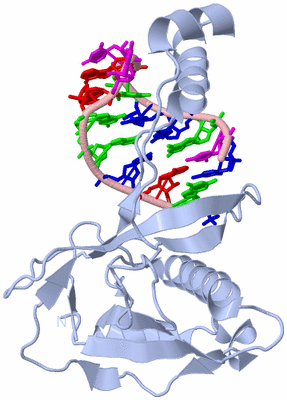 Image Biological Unit 2