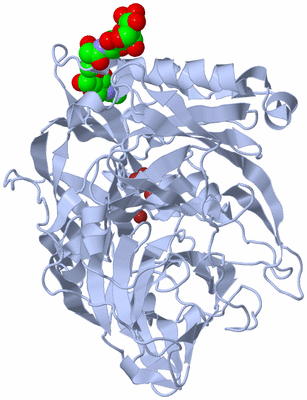 Image Biological Unit 1