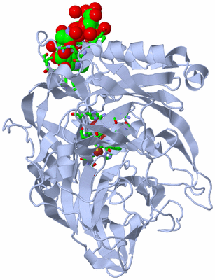 Image Biol. Unit 1 - sites