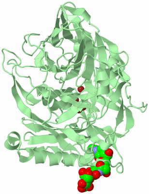 Image Biological Unit 2